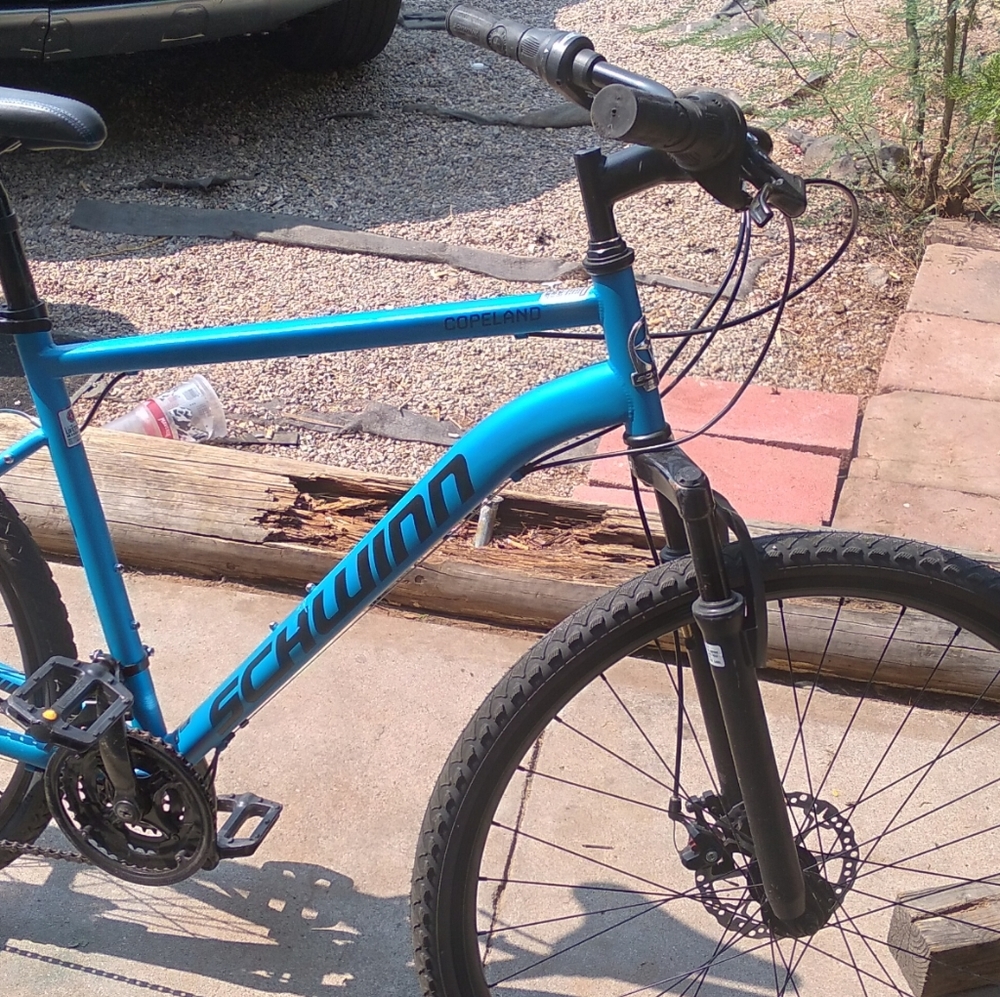 Blue bike 29"